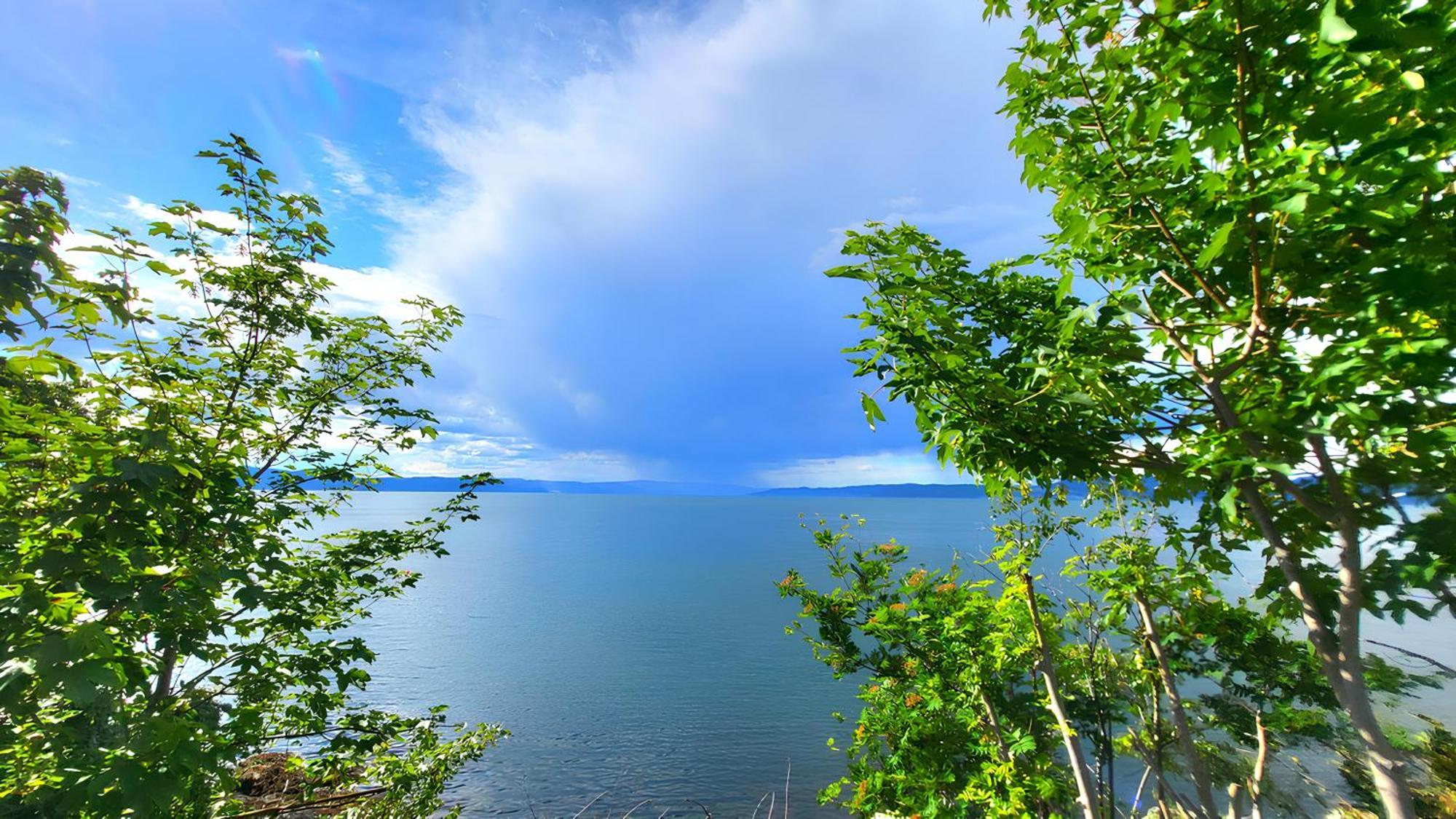 Villa Ocean Side House, Sea View, Free Parking ! Trondheim Exterior foto